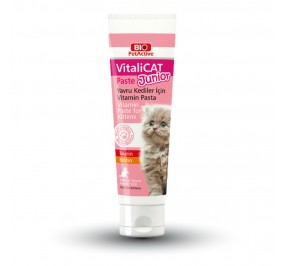 Vitalicat Junior (Multivitamin Paste for Cats) 100ml